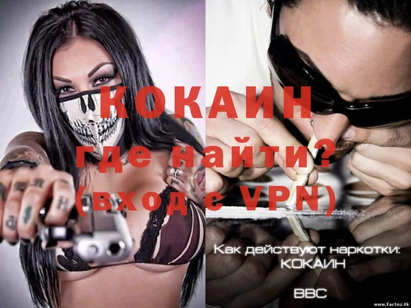 крисы Богородицк
