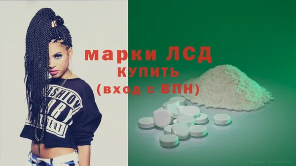 сатива Ростов