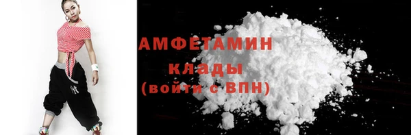 крисы Богородицк