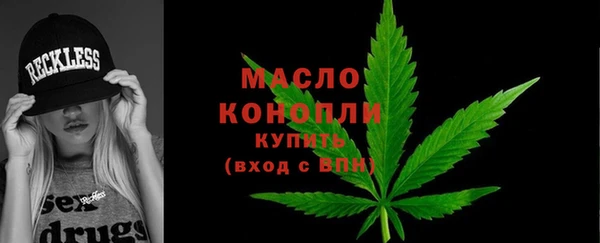 крисы Богородицк