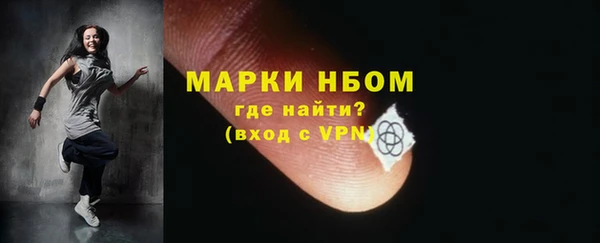 крисы Богородицк