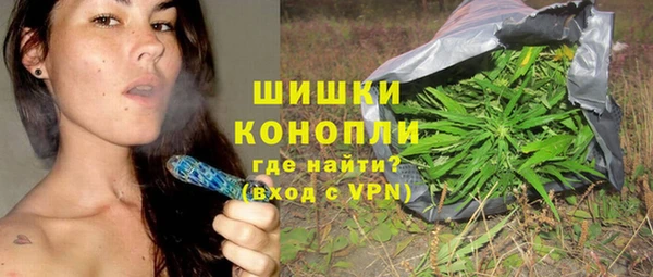крисы Богородицк