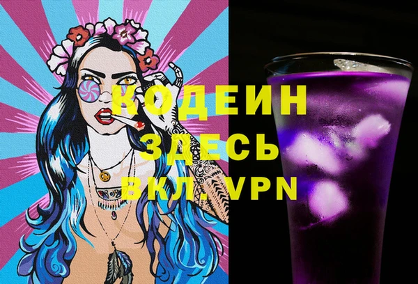 крисы Богородицк