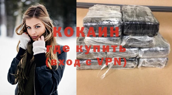 крисы Богородицк