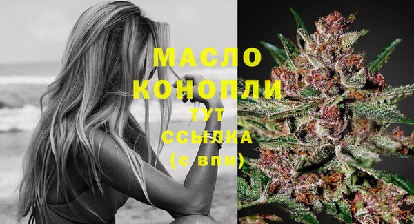 крисы Богородицк