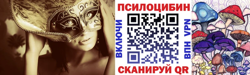где продают   Богородск  блэк спрут зеркало  Псилоцибиновые грибы прущие грибы 